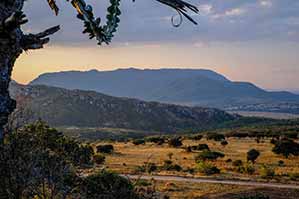 African landscape