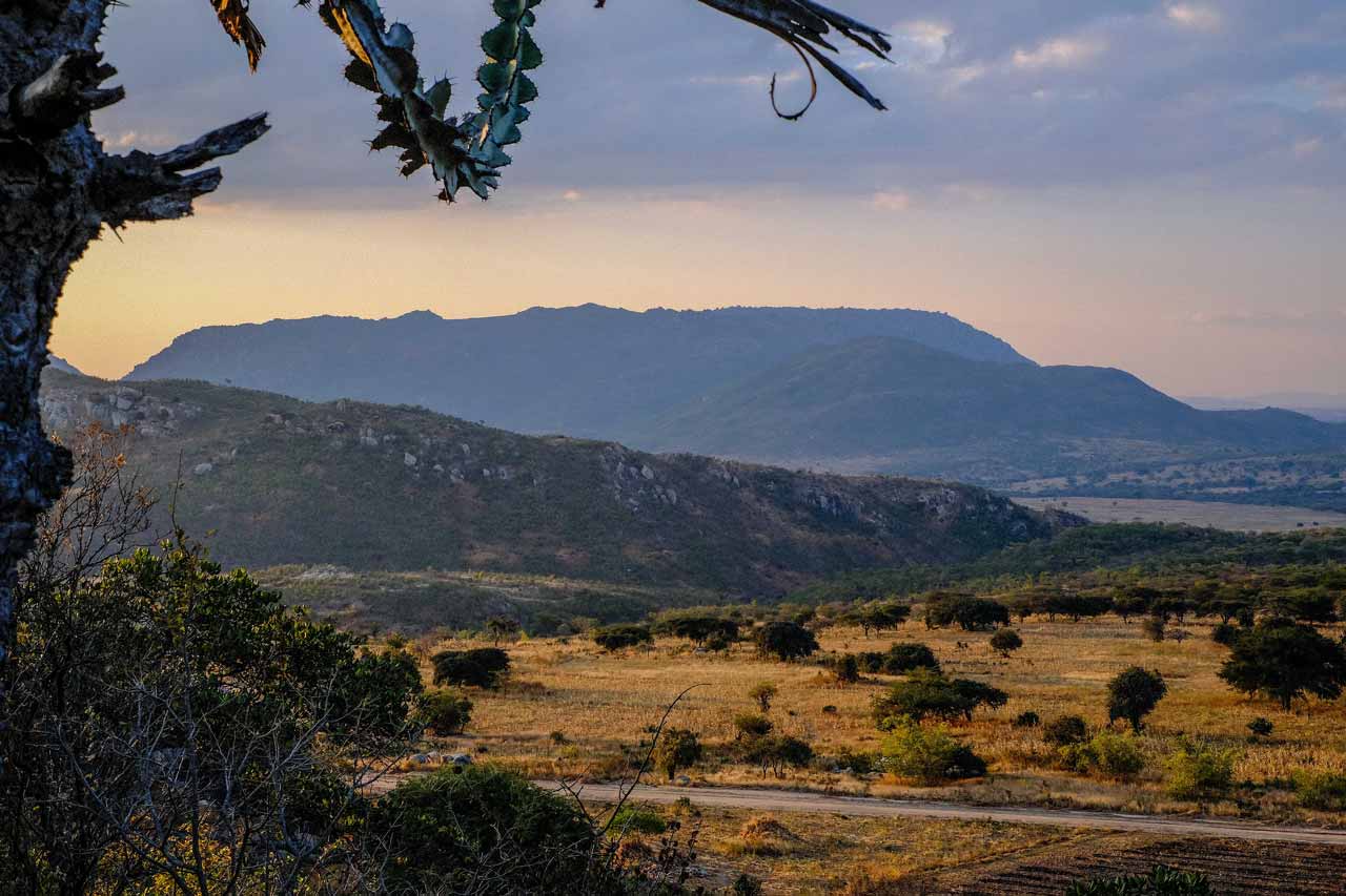 Your guide to shipping to Africa - ParcelBroker